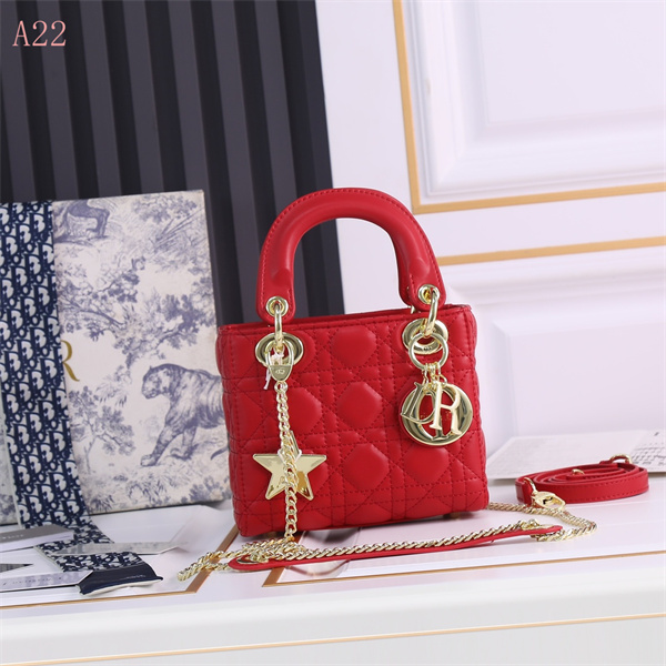 Dior Bags AAA 107